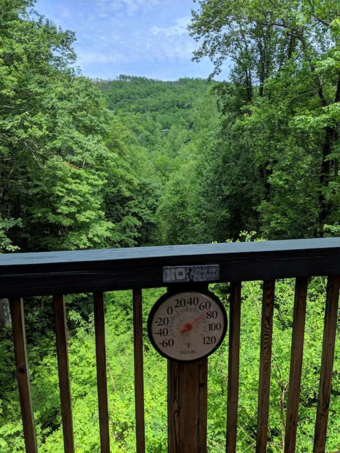 Want To Feel Like You'Re Up In The Trees!! What A Great View! Villa Gatlinburg Exterior photo